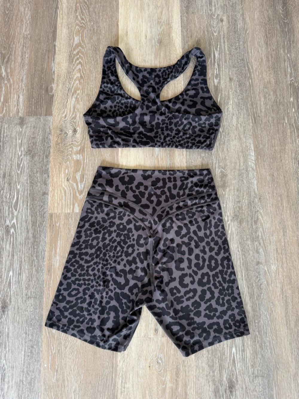 Vitality Pulse Set - King Cheetah Leopard Print - Crossover Shorts & Bra - M